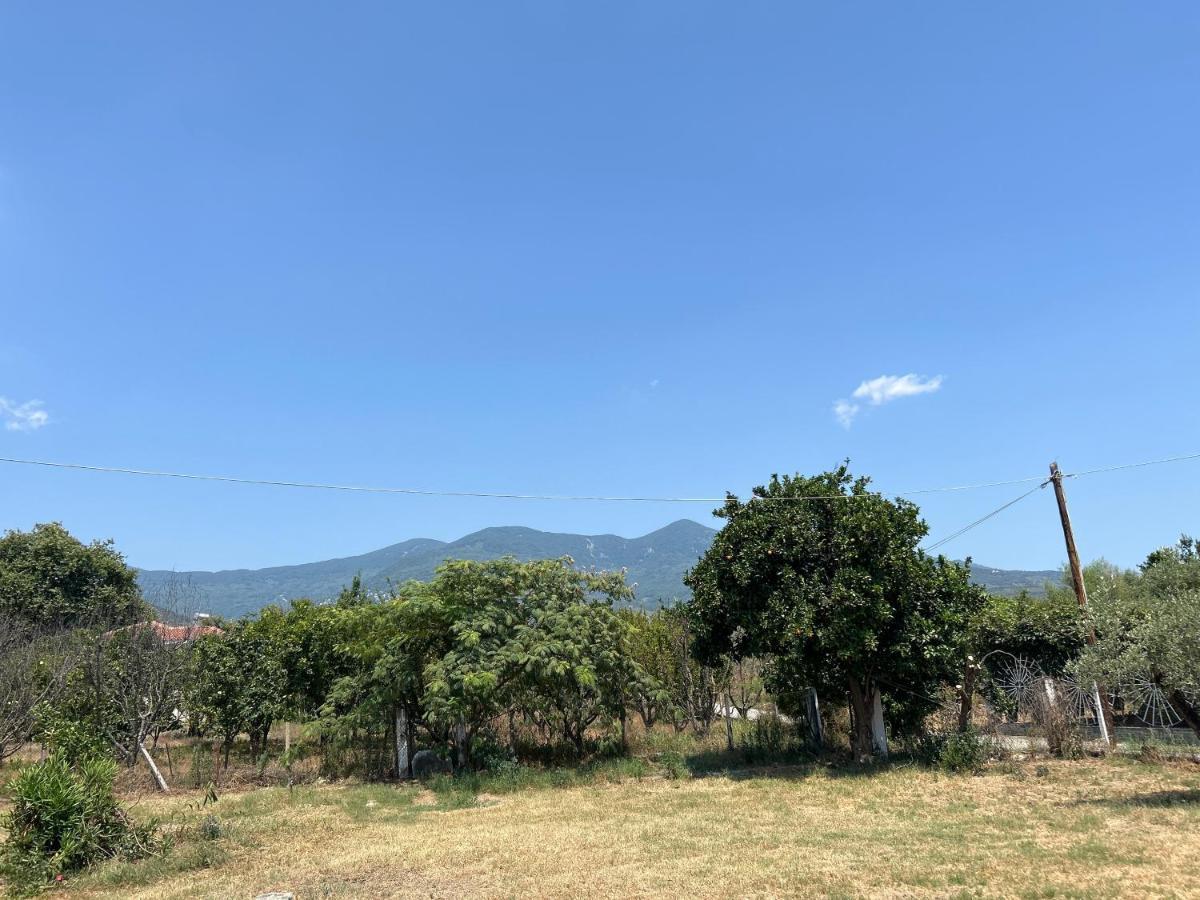 Βίλα Θαλεια Kato Lekhonia Exterior photo